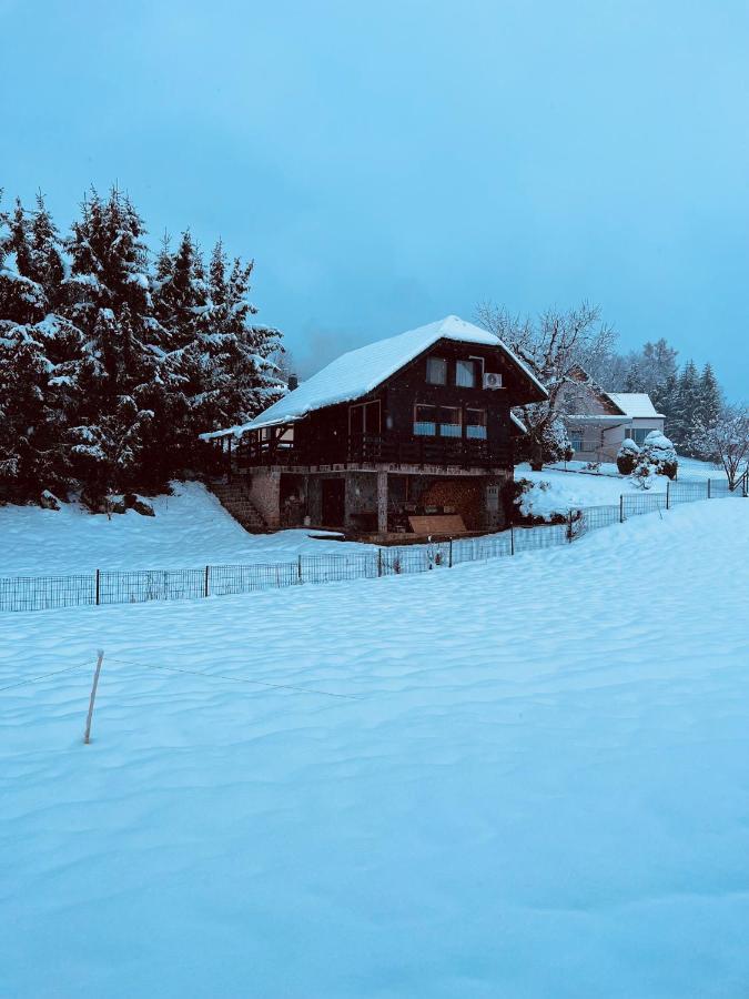 Chalet Pjagodic Cerklje na Gorenjskem Exterior photo